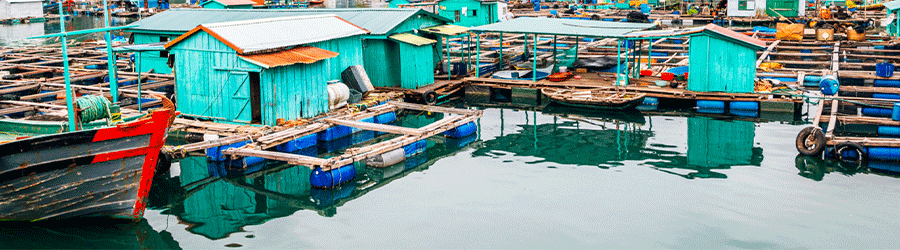 Cruise From Cat Ba Island